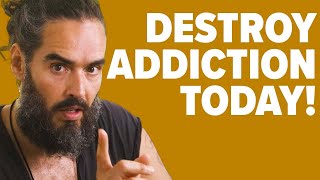 DO THIS To Destroy Your Addictions TODAY  Russell Brand [upl. by Ettenal]