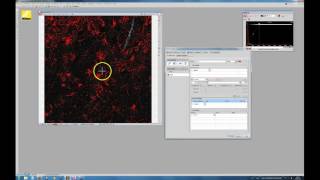 Introduction to image analysis using Nikon NISElements as an example [upl. by Amye]