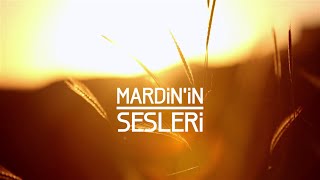 MARDİNİN SESLERİ  SOUNDS OF MARDIN 马尔丁声音 [upl. by Wsan]