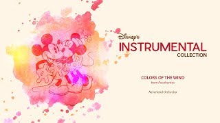 Disney Instrumental ǀ Neverland Orchestra  Colors Of The Wind [upl. by Duke]