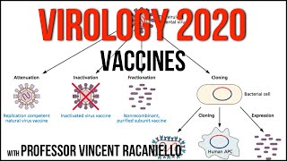 Virology Lectures 2020 19 Vaccines [upl. by Blossom85]