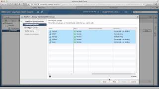 NetFlow  VMware vSphere Distributed Switch [upl. by Kcirredal962]