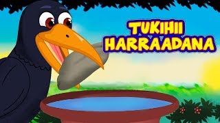 Tukihii Harraadana  SHEEKO CARUUREED  Somali Moral Story  Thirsty Crow Story af Somali [upl. by Sigsmond]