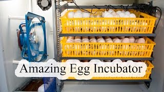 Egg Incubator Review and Operation [upl. by Meece]