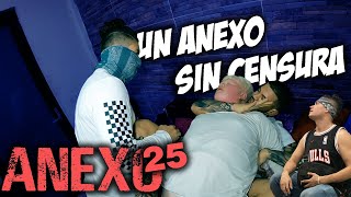 Anexo 25 │ Christian Meza [upl. by Irep166]