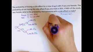 Bayes Theorem [upl. by Nodnal]