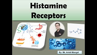 Histamine Receptors H1 H2 H3 and H4 [upl. by Neeoma]