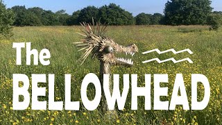 The Bellowhead [upl. by Jeth]