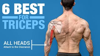 6 BEST Triceps Exercises ANATOMY BASED [upl. by Jess]