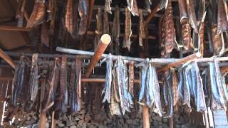 Traditional Smoked Salmon method in Alaska [upl. by Mitinger]