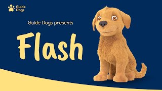 GUIDE DOGS  FLASH ANIMATION [upl. by Nej]