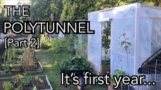 Building a Polytunnel Part 2  What I learned in its first year and what im changing [upl. by Cloutman658]