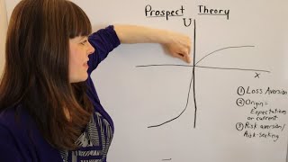 Prospect Theory An Overview [upl. by Goraud]