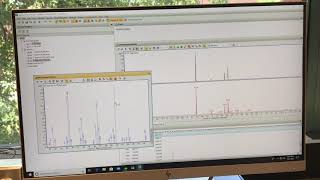 GC MS Data Analysis [upl. by Teilo586]