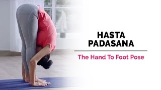 Hasta Padasana  HandToFootPose  Steps  Benefits  Yogic Fitness [upl. by Drake]