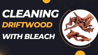 Driftwood Cleaning and Bleaching  Complete Tutorial [upl. by Drofdarb]