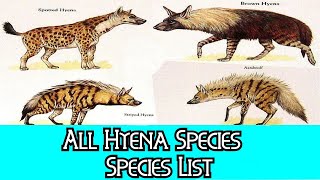 All Hyena Species  Species List [upl. by Laehcar]