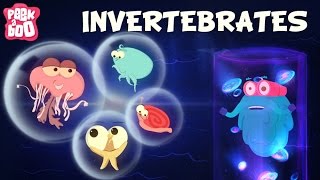 Invertebrates  The Dr Binocs Show  Learn Videos For Kids [upl. by Hadria]