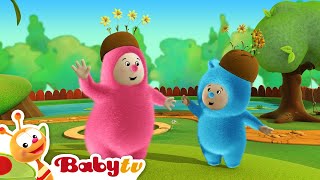 Billy Bam Bam Sing amp Dance BabyTV [upl. by Malha601]