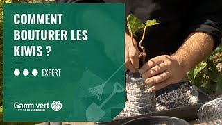 TUTO Comment bouturer les kiwis   Jardinerie Gamm vert [upl. by Jules]