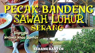 PECAK BANDENG SAWAH LUHUR  SERANG BANTEN [upl. by Thorner]