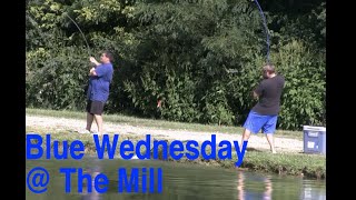 Windmill Fishing Lakes August 21 2024 [upl. by Aihsekram]