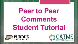 Peer to Peer comments Student Tutorial [upl. by Ard]