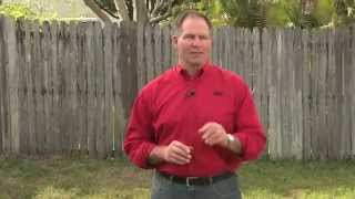 How To Stop Lawn Weeds  Ace Hardware [upl. by Vicki]