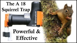 The A18 Squirrel Destroyer  A Powerful amp Effective CO2 Squirrel Trap  Mousetrap Monday [upl. by High]