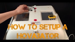 How To Set Up A Hovabator Incubator [upl. by Sarah966]