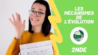 Les mécanismes de lévolution  2nde  Madame SVT [upl. by Drageruaeb110]