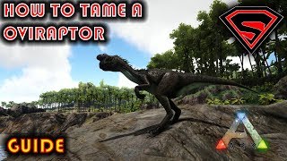 ARK HOW TO TAME A OVIRAPTOR 2019  EVERYTHING YOU NEED TO KNOW ABOUT TAMING A OVIRAPTOR [upl. by Arahsit]