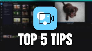 5 EASY Tips for Movavi Video Editor Plus [upl. by Nohpets461]