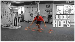 Single Leg MiniHurdle Hop  Balance amp Plyometric Workout [upl. by Euginimod]