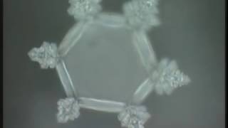 Masaru Emoto  Messages de lEau Documentaire [upl. by Adda986]