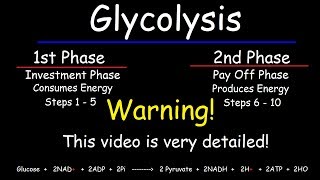 Glycolysis  Biochemistry [upl. by Mooney]