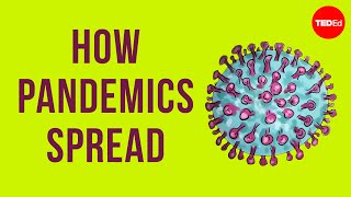 How pandemics spread [upl. by Aicilet441]