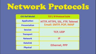 Network Protocols [upl. by Naig208]