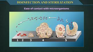 Disinfection and Sterilization [upl. by Scotty]