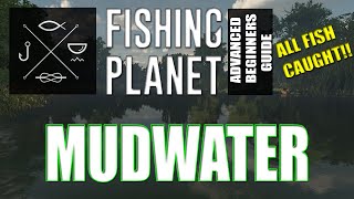 The Complete Fishing Planet Beginners Guide  Episode 2  Mudwater River [upl. by Ahselak294]