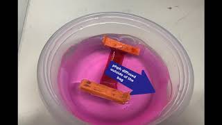 Chapter 5 Membrane Lab Demonstration Dialysis [upl. by Natsirt809]