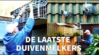 De Laatste Duivenmelkers The Last Pigeon Fanciers  Amsterdams Peil [upl. by Baun]