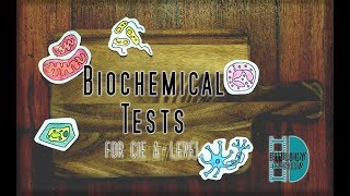 ALevel Biology  Biochemical Tests [upl. by Aicre]