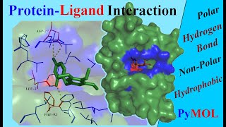 Analysing ProteinLigand Interactions  Tutorial [upl. by Eladnek]