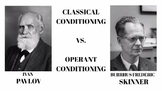 Classical Conditioning vs Operant Conditioning Psychology [upl. by Aeslek]