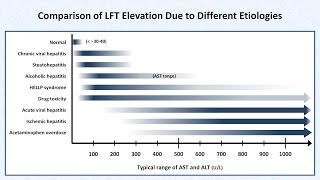 Interpretation of LFTs Liver Function Tests [upl. by Durer352]