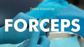 Demonstration of forceps technique for dental extraction [upl. by Newo37]