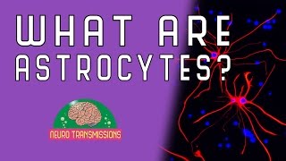 What Are Astrocytes [upl. by Nivrad]