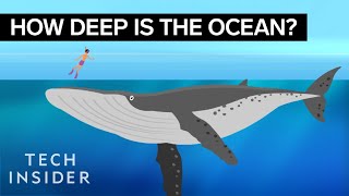 This Incredible Animation Shows How Deep The Ocean Really Is [upl. by Tongue218]