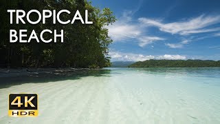 4K HDR Tropical Beach  Gentle Ocean Wave Sounds  Peaceful Wild Island  Relaxing Nature Video [upl. by Broddy]